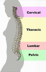 Back Pain Treatment